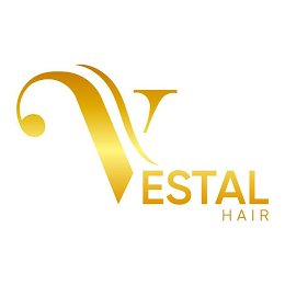 VESTAL HAIR logo
