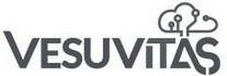 VESUVITAS logo