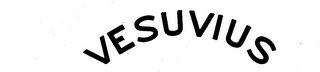 VESUVIUS logo