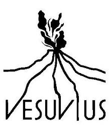 VESUVIUS logo