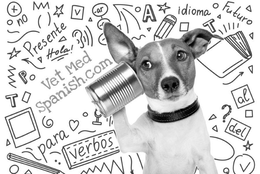 VET MED SPANISH.COM X NO V -AR A IDIOMA FUTURO PRESENTE HOLA! T P T ? AL DEL PARA VERBOS V logo