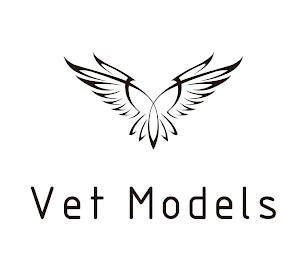 VET MODELS logo