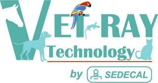 VET-RAY TECHNOLOGY BY SEDECAL logo