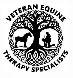 VETERAN EQUINE THERAPY SPECIALISTS logo
