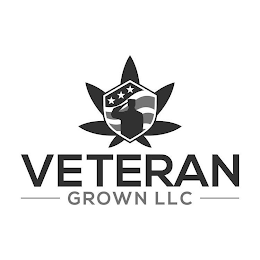 VETERAN GROWN LLC logo