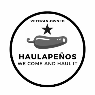 VETERAN-OWNED HAULAPEÑOS WE COME AND HAUL IT logo