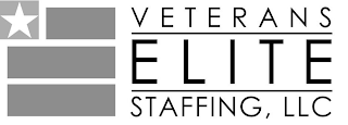 VETERANS ELITE STAFFING, LLC logo