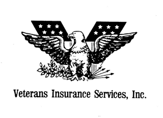 VETERANS INSURANCE SERVICES, INC. logo