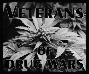 VETERANS OF DRUG WARS logo