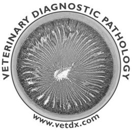 VETERINARY DIAGNOSTIC PATHOLOGY WWW.VETDX.COM logo