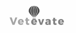 VETEVATE logo