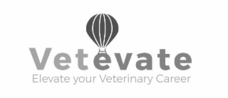 VETEVATE ELEVATE YOUR VETERINARY CAREER logo