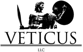 VETICUS LLC logo