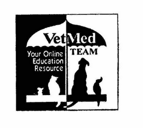 VETMED TEAM YOUR ONLINE EDUCATION RESOURCE logo