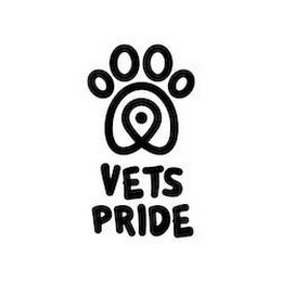 VETS PRIDE logo