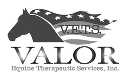V.E.T.S. VALOR EQUINE THERAPEUTIC SERVICES, INC. logo