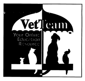 VETTEAM YOUR ONLINE EDUCATION RESOURCE logo