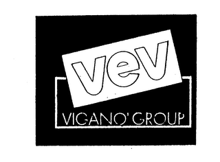 VEV VIGANO' GROUP logo