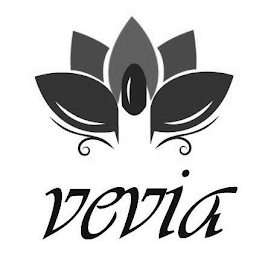 VEVIA logo
