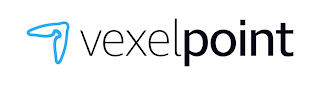 VEXELPOINT logo