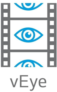 VEYE logo