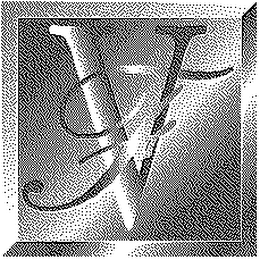 VF logo