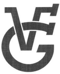 VFG logo