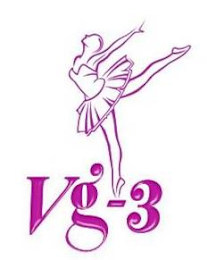 VG-3 logo
