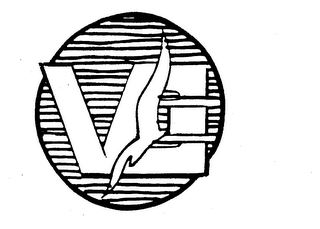 VG logo