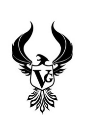 VG logo