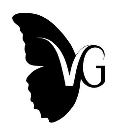 VG logo