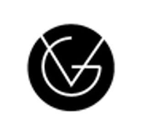 VG logo