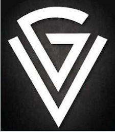 VG logo