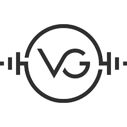 VG logo