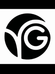 VG logo