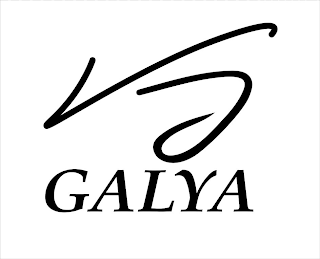 VG GALYA logo