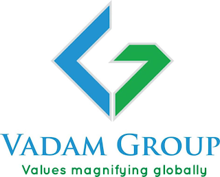 VG VADAM GROUP VALUES MAGNIFYING GLOBALLY logo