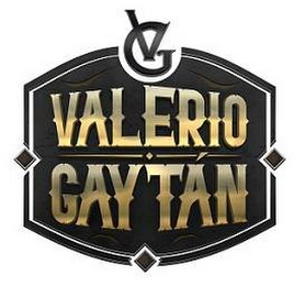 VG VALERIO GAYTÁN logo