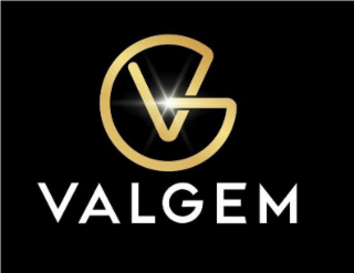 VG VALGEM logo