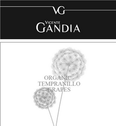 VG VICENTE GANDIA ORGANIC TEMPRANILLO GRAPES logo