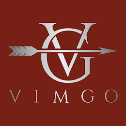 VG VIMGO logo