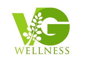 VG WELLNESS logo