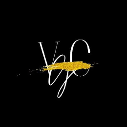 VGC logo