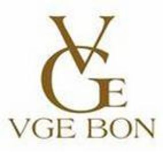 VGE VGE BON logo