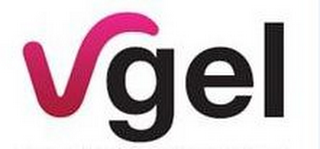 VGEL logo
