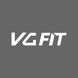 VGFIT logo