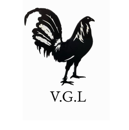 V.G.L logo