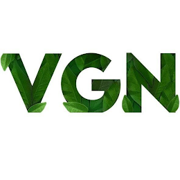 VGN logo