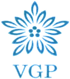 VGP logo