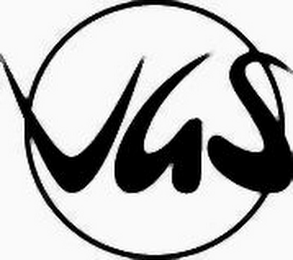 VGS logo